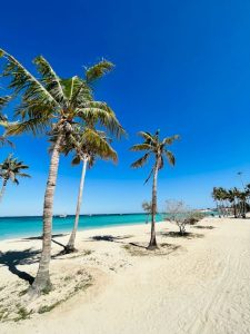Zonnig en Zorgeloos: Jouw Gids voor een Duurzame Strandvakantie